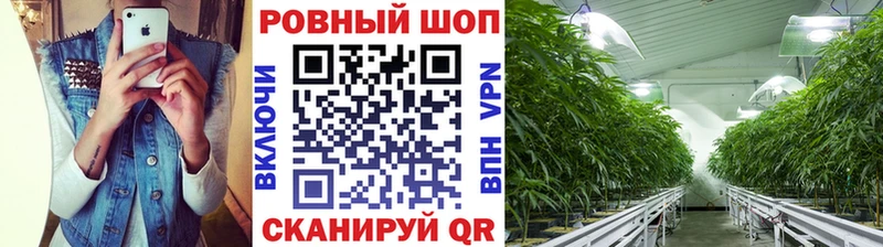Наркошоп купить Каннабис  APVP  Меф мяу мяу  Кокаин  Нижний Ломов