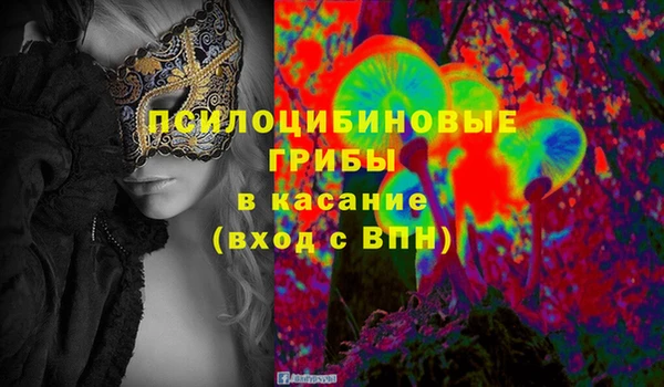 spice Зеленодольск