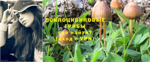 ALPHA-PVP Заволжск