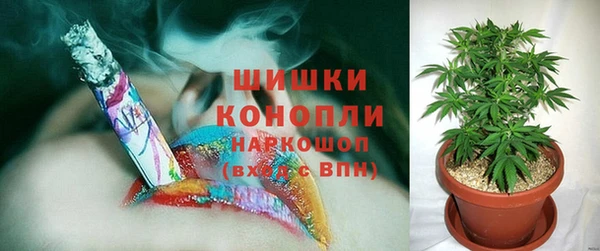 spice Зеленодольск