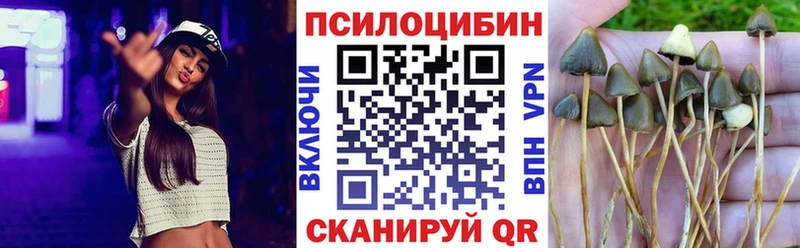 Купить закладки  Нижний Ломов  Галлюциногенные грибы прущие грибы 